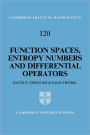 Function Spaces, Entropy Numbers, Differential Operators