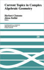 Current Topics in Complex Algebraic Geometry