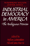 Industrial Democracy in America: The Ambiguous Promise