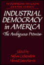 Industrial Democracy in America: The Ambiguous Promise