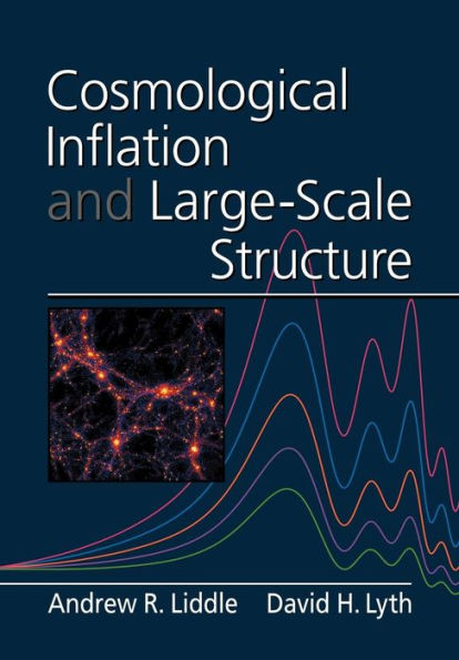 Cosmological Inflation and Large-Scale Structure / Edition 1