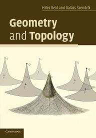 Title: Geometry and Topology, Author: Miles Reid