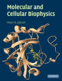 Molecular and Cellular Biophysics / Edition 1