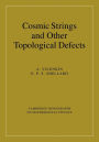 Cosmic Strings and Other Topological Defects