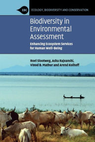 Title: Biodiversity in Environmental Assessment: Enhancing Ecosystem Services for Human Well-Being / Edition 1, Author: Roel Slootweg