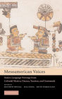 Alternative view 2 of Mesoamerican Voices: Native Language Writings from Colonial Mexico, Yucatan, and Guatemala