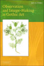 Observation and Image-Making in Gothic Art