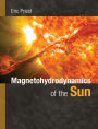 Magnetohydrodynamics of the Sun