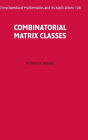 Combinatorial Matrix Classes