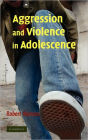 Aggression and Violence in Adolescence