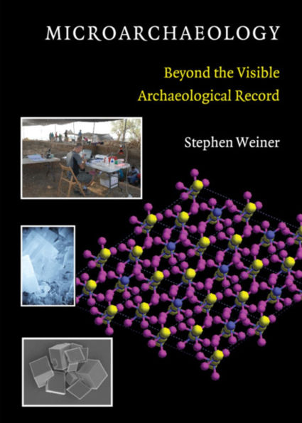 Microarchaeology: Beyond the Visible Archaeological Record