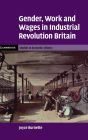 Gender, Work and Wages in Industrial Revolution Britain / Edition 1