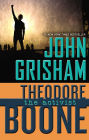 The Activist (Theodore Boone Series #4)