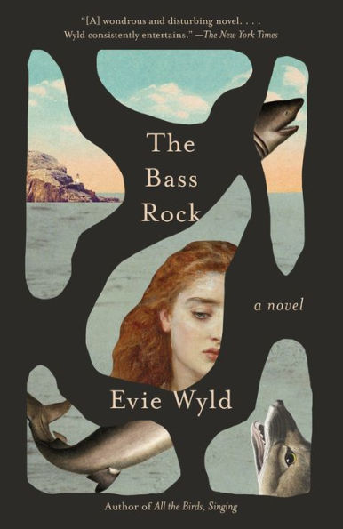 The Bass Rock: A Novel