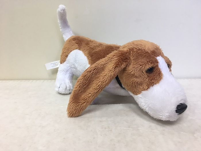 bingo stuffed animal