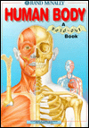Human Body: A Fold-Out Book (Rand McNally for Kids)