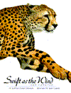 Swift as the Wind; The Cheetah