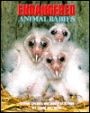 Endangered Animal Babies: Saving Species One Birth at a Time