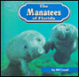 The Manatees of Florida