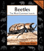 Beetles: The Most Common Insects