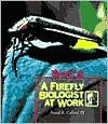 A Firefly Biologist at Work