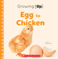 Title: Egg to Chicken (Growing Up), Author: Jodie Shepherd