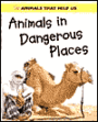Animals in Dangerous Places
