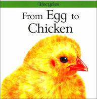 From Egg to Chicken (Lifecycles Series)