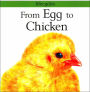 From Egg to Chicken (Lifecycles Series)