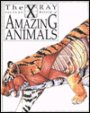 Amazing Animals