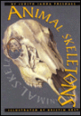 Animal Skeletons