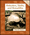 Anteaters, Sloths and Armadillos