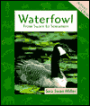 Waterfowl: From Swans to Screamers