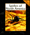 Spiders of North America