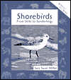 Shorebirds: From Stilts to Sanderlings