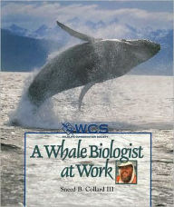 A Whale Biologist at Work