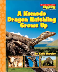 A Komodo Dragon Hatchling Grows Up
