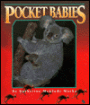Pocket Babies