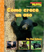 Como crece un oso: A Bear Cub Grows Up