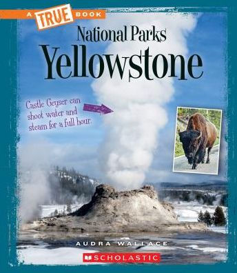 Yellowstone (A True Book: National Parks)