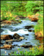 Environmental Science: Working with the Earth without Infotrac. (2003)
