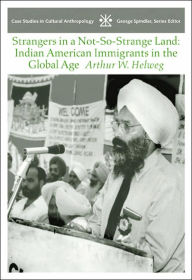 Strangers in a Not-So-Strange Land: Indian American Immigrants in the Global Age / Edition 1