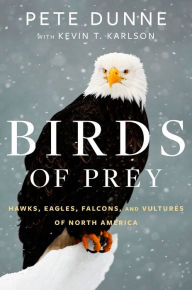 Title: Birds Of Prey: Hawks, Eagles, Falcons, and Vultures of North America, Author: Pete Dunne
