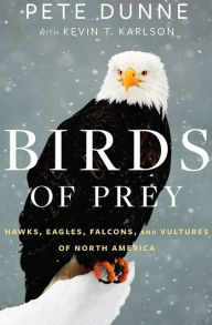 Title: Birds of Prey: Hawks, Eagles, Falcons, and Vultures of North America, Author: Pete Dunne