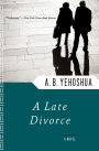 A Late Divorce: A Novel