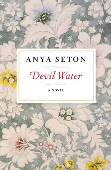 Devil Water: A Novel