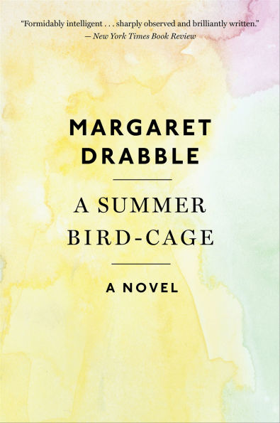 A Summer Bird-Cage: A Novel