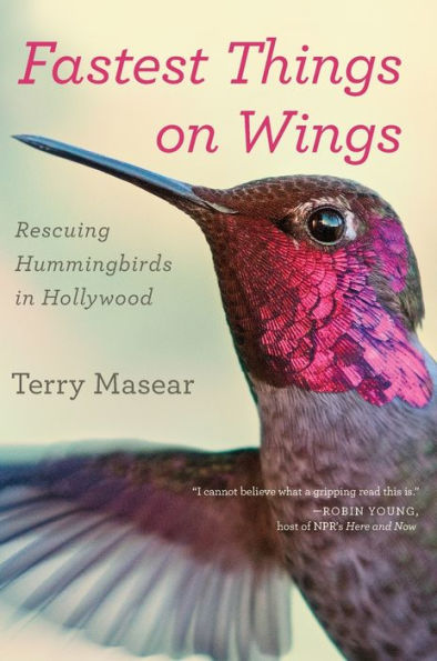 Fastest Things On Wings: Rescuing Hummingbirds in Hollywood
