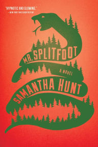 Title: Mr. Splitfoot, Author: Samantha Hunt