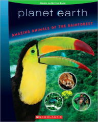 Amazing Animals of the Rainforest